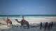 Diani Beach 07.07.2025 15:01