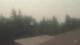 Medina, Washington 03.08.2026 15:16