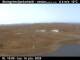 Steingrímsfjarðarheiði 14.06.2025 15:02