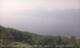 Castelletto di Brenzone 08.06.2025 15:03