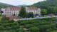 Bad Brückenau 08.06.2025 15:04