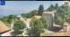 Guadagnolo 08.06.2025 15:04