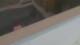 Colorado Springs, Colorado 30.04.2025 15:19