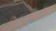 Colorado Springs, Colorado 29.04.2025 15:19