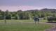 Nashville, Indiana 08.06.2025 15:19