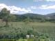 Cantalupo Ligure 08.07.2025 15:04