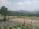 Cantalupo Ligure 09.06.2025 15:04