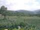 Cantalupo Ligure 06.07.2025 15:04