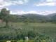 Cantalupo Ligure 07.07.2025 15:04