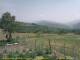 Cantalupo Ligure 15.06.2025 15:04