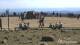 Brocken 30.04.2025 15:05