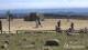 Brocken 10.05.2025 15:04