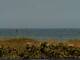 Cape Canaveral, Florida 08.07.2025 15:47