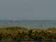 Cape Canaveral, Florida 10.07.2025 15:47
