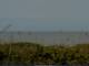 Cape Canaveral, Florida 16.05.2025 15:47