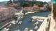 Veli Lošinj 25.05.2025 15:05