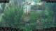 Nakhon Ratchasima (Korat) 30.04.2025 15:47