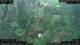 Nakhon Ratchasima (Korat) 02.07.2025 15:47