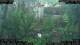 Nakhon Ratchasima (Korat) 10.05.2025 15:47