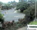 Port Douglas 09.06.2025 15:47