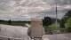 Scottsville, New York 08.06.2025 15:26