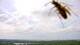 Chantilly, Virginia 08.06.2025 15:27