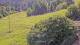 Zell am See 15.06.2025 15:06