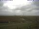 Hallig Hooge 05.07.2025 15:47