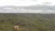 Moliets-et-Maa 15.06.2025 15:06