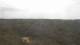 Moliets-et-Maa 30.04.2025 15:06