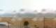 Saint-Georges-de-Didonne 06.07.2025 15:07