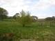 Dartmoor 29.04.2025 15:47