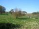 Dartmoor 29.04.2025 15:47