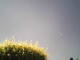 Burgstetten 30.04.2025 15:08
