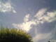 Burgstetten 05.07.2025 15:07