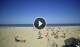 Rimini 30.04.2025 15:08