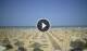 Rimini 08.06.2025 15:08