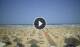 Rimini 09.06.2025 15:08