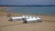 Royan 11.06.2025 15:08