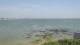 Le Pouliguen 08.06.2025 15:09