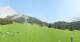 Ehrwald 08.06.2025 15:10
