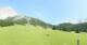 Ehrwald 22.06.2025 15:09