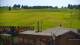 Zieleniec 15.06.2025 15:10