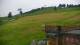 Zieleniec 08.06.2025 15:10