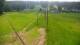 Zieleniec 09.06.2025 15:10