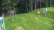 Zieleniec 15.07.2025 15:21
