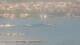 Balaruc-les-Bains 01.07.2025 15:10
