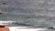Ericeira 29.04.2025 15:54