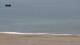 Figueira da Foz 14.06.2025 15:20