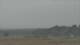 Alvor (Algarve) 14.06.2025 15:28